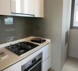 Skyline Residences (D4), Condominium #477794671